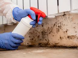 Trusted Decatur, MS Mold Inspection Experts